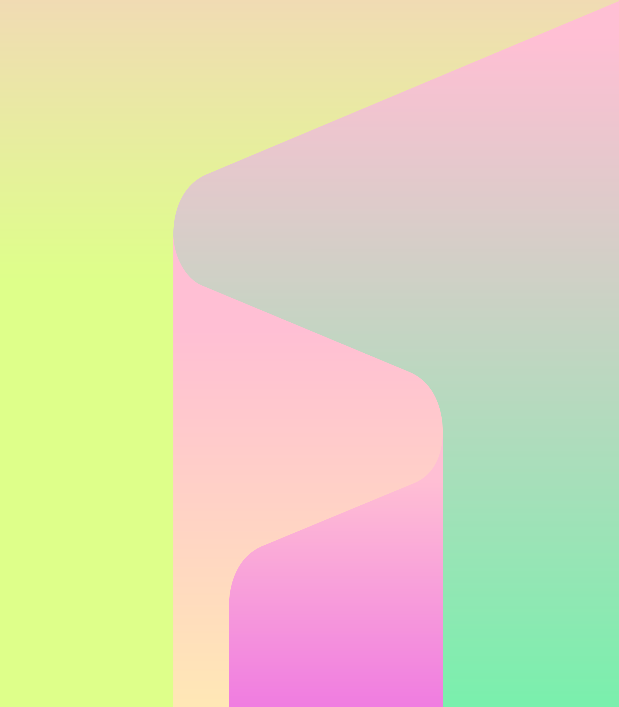 Fragment key visual KINKO Aurora z płynnym gradientem kolorystycznym stanowiącym bazę identyfikacji.