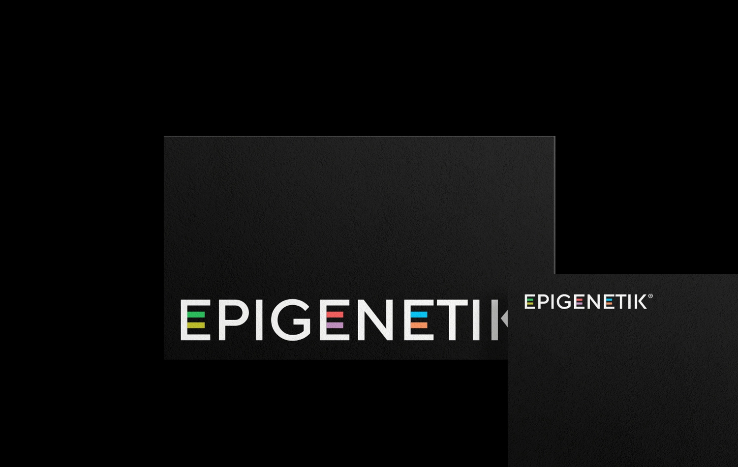 Czarne karty lojalnościowe z logo Epigenetik w białej typografii z kolorowymi akcentami